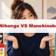 minna-no-nihongo-vs-manekineko-japonais